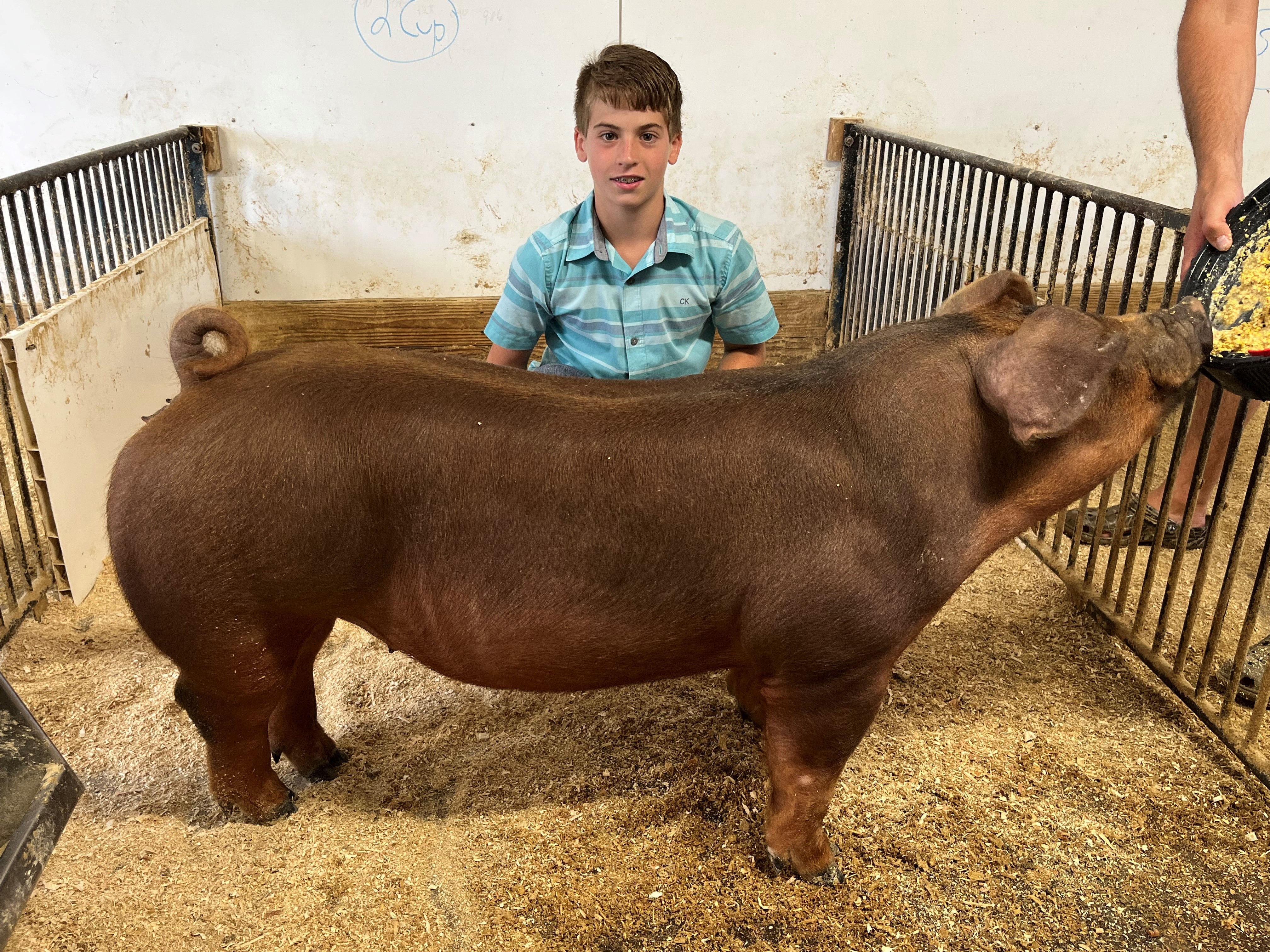 Ayden Tusing posing with a pig