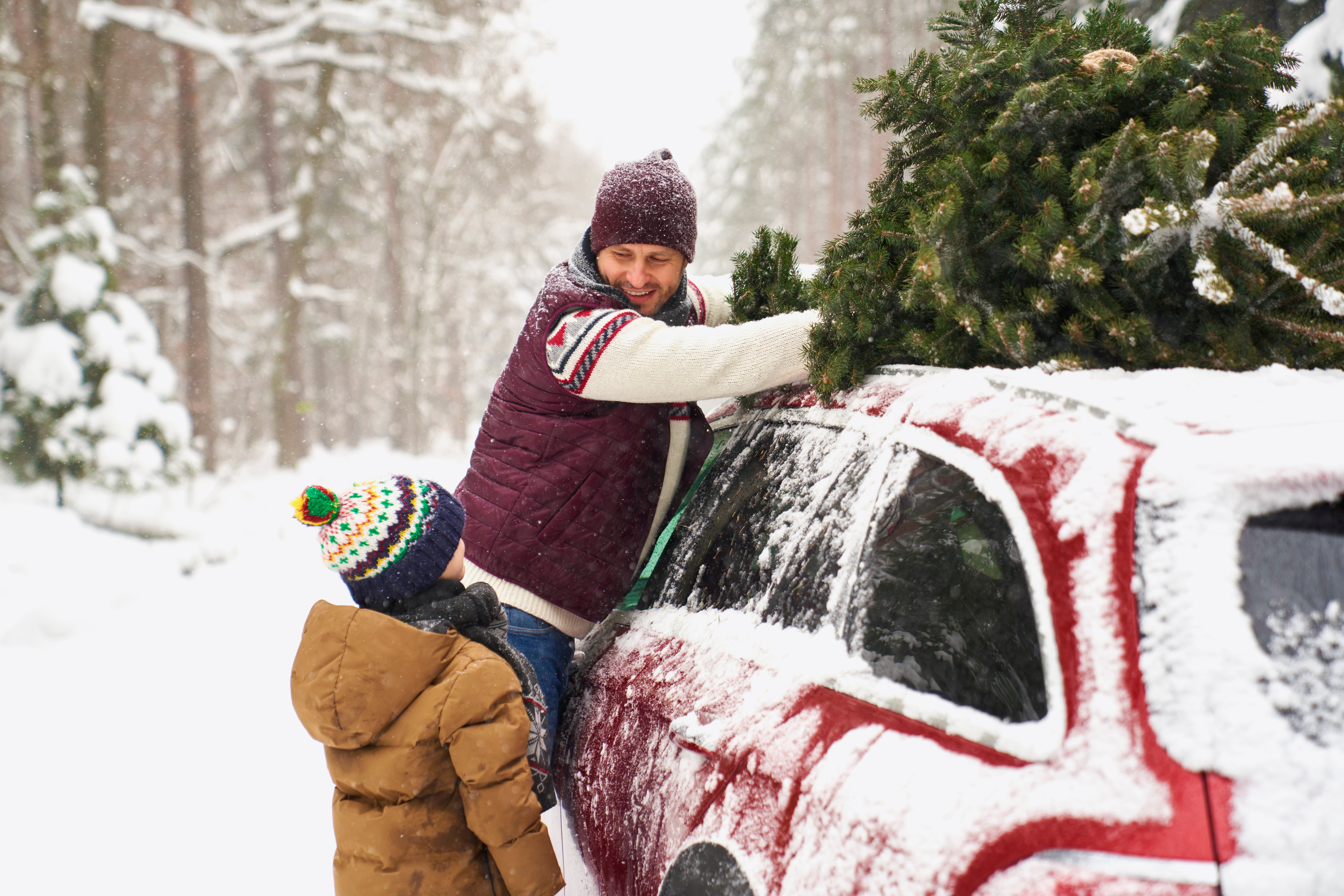 Father and son putting new Christmas tree on top of car.