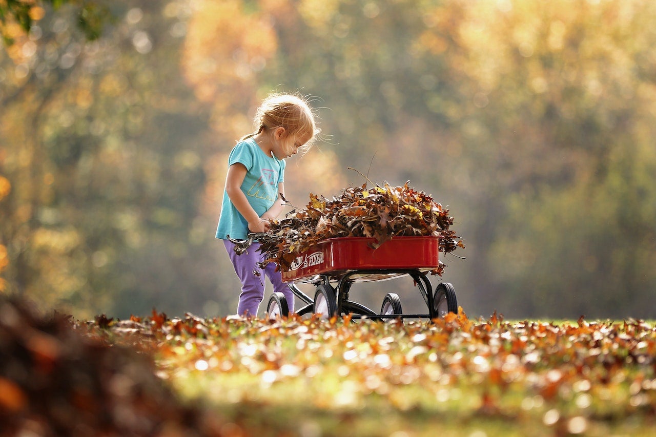 A child plays outdoors with a wagon full of autumn leaves