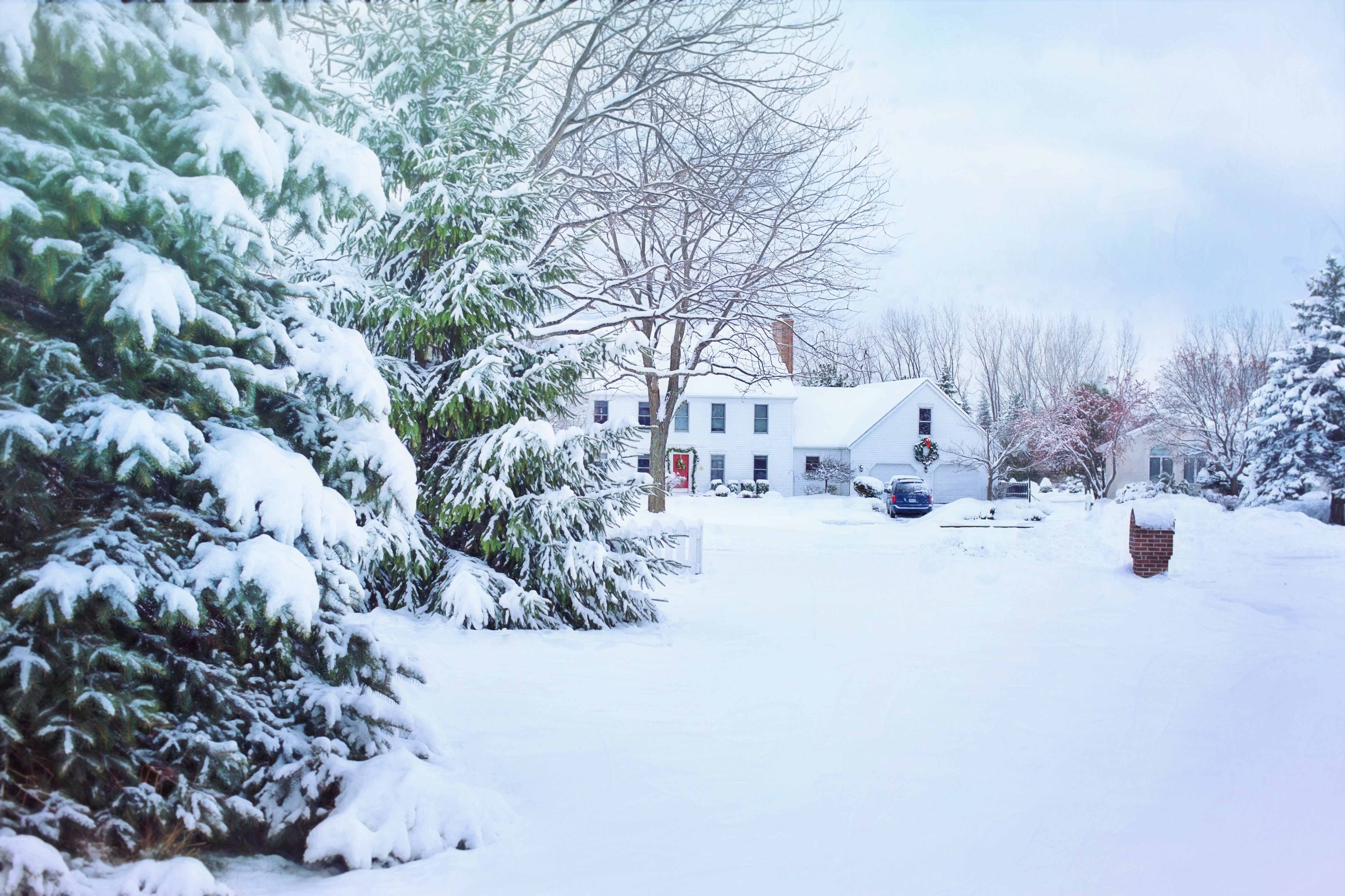 House bordered by pine trees in snowy winter