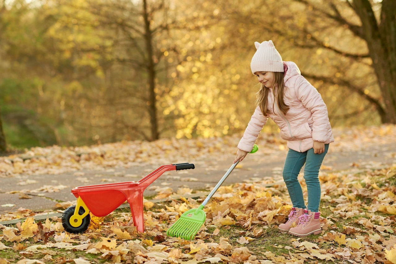 A child plays with a wheelbarrow and rake outdoors in the fall