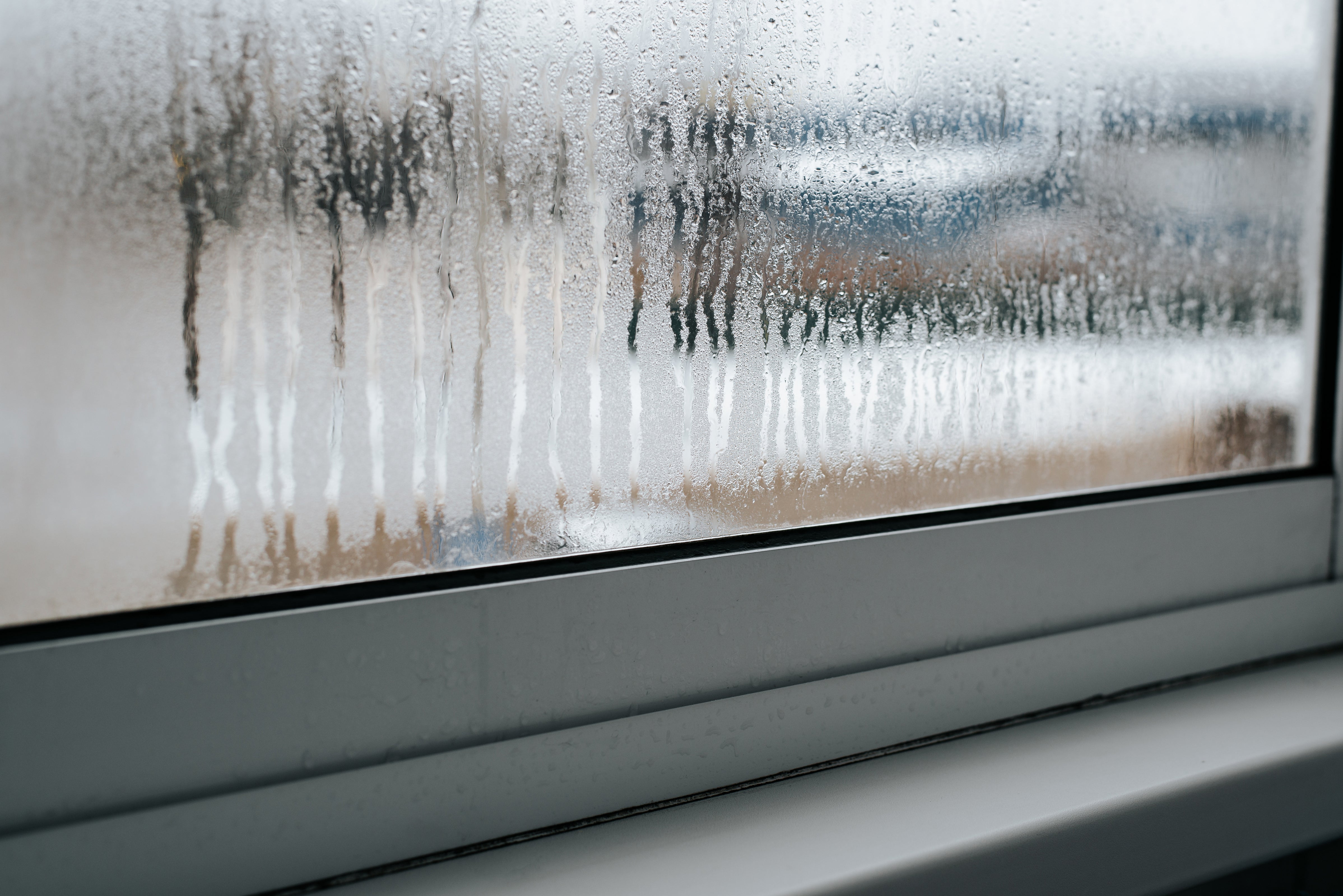A close-up of a window with condensation building between the panes of glass.