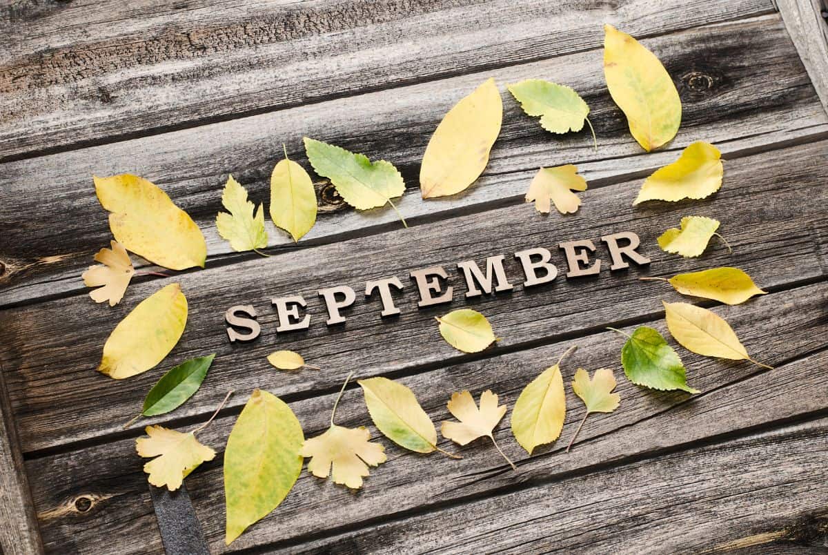 September