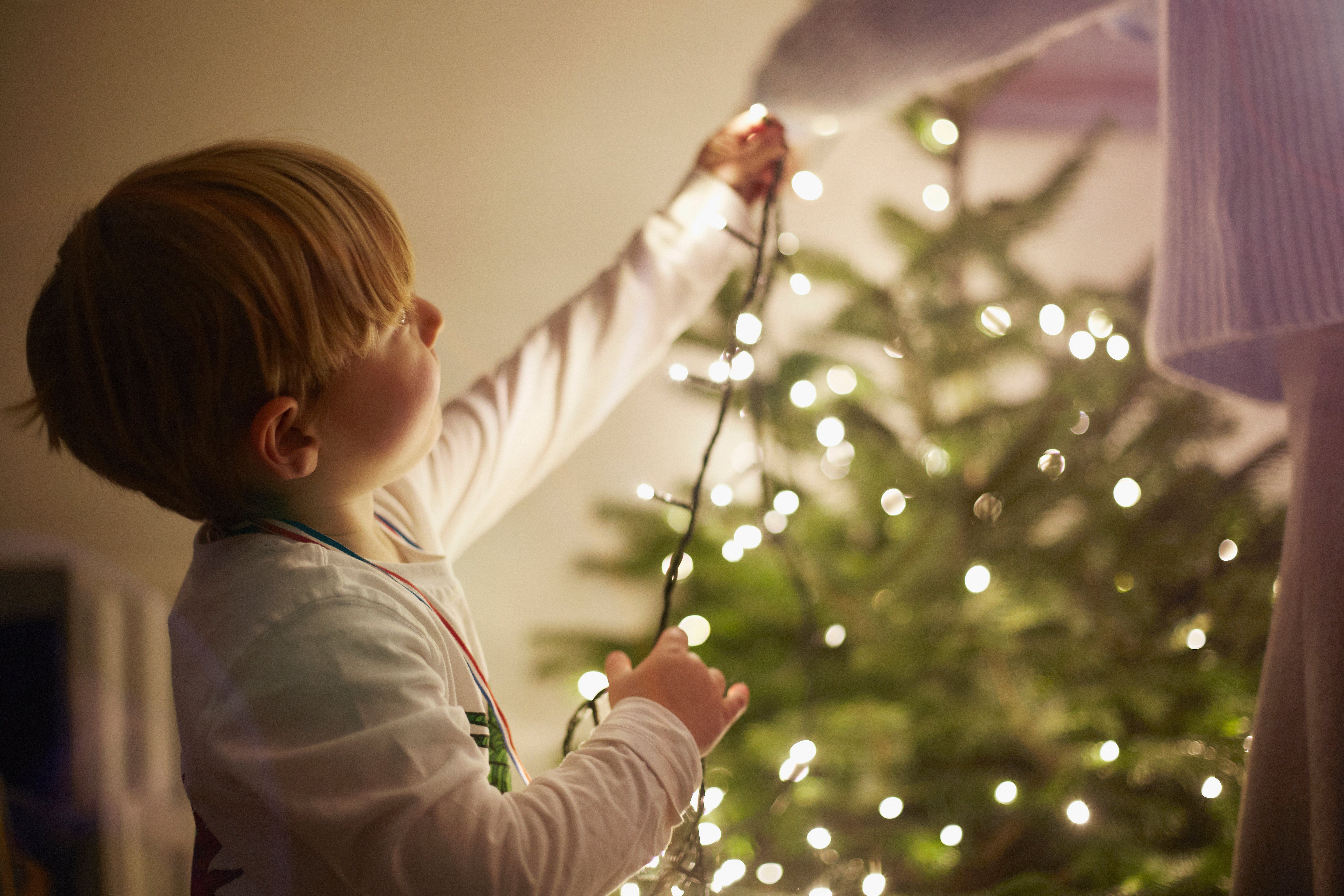 Little boy hanging up Christmas lights on tree.